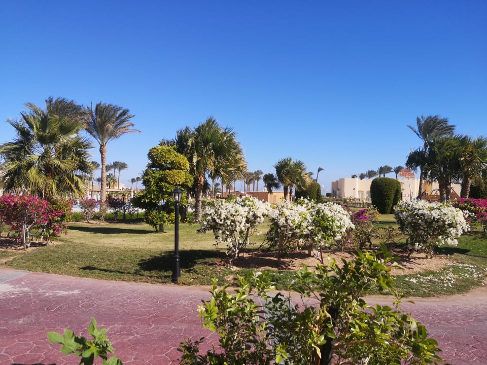Ausblick Cleopatra Luxury Resort Makadi Bay