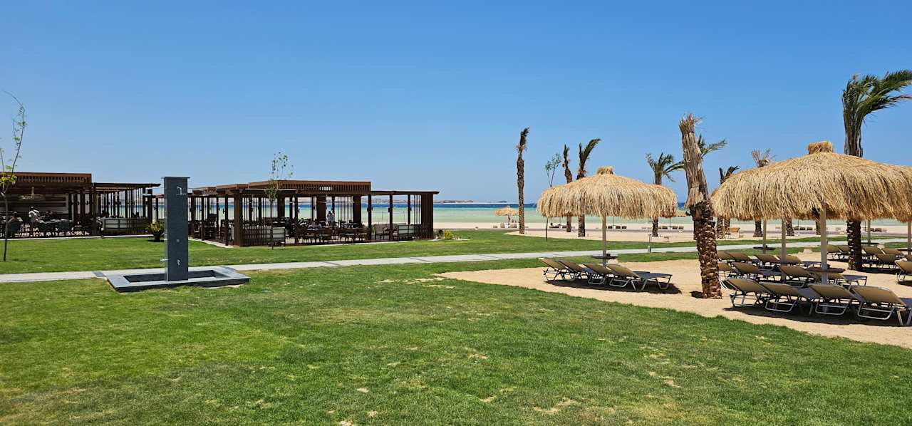 Strand JAZ Elite Asteria