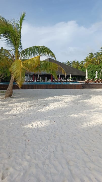 Pool Adaaran Select Meedhupparu Island Resort - Premium All Inclusive