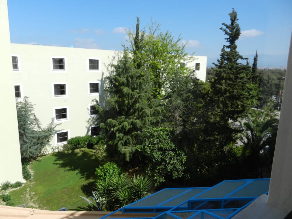 Ein Teil des Gartens Asteria Collection Side