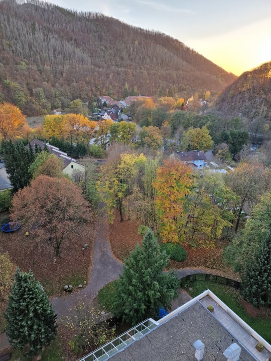 Außenansicht Panoramic - Ihr Apartmenthotel im Harz