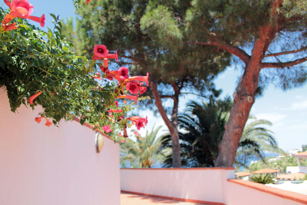 Ausblick Hotel Terme Royal Palm