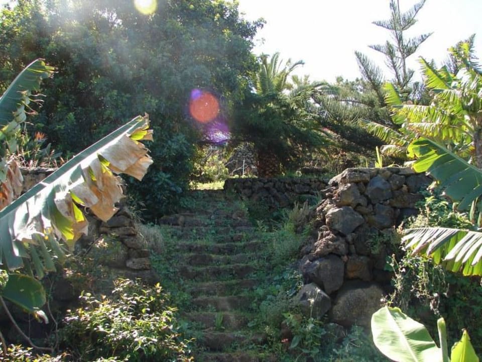 Gartenszene in der Nähe des Grillplatzes Finca El Rincon