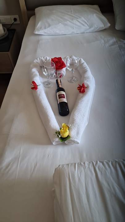 Zimmer Aydinbey Kings Palace & Spa