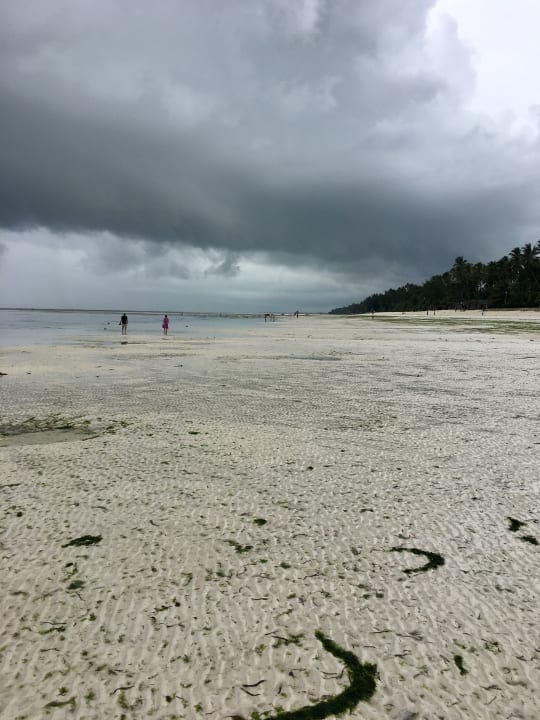 Strand Neptune Pwani Beach Resort & Spa