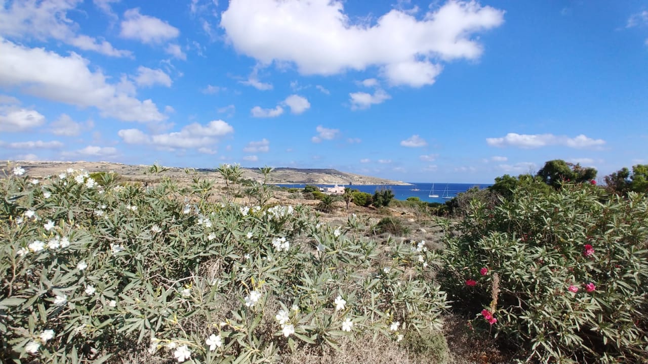 Ausblick Comino Hotel & Bungalows