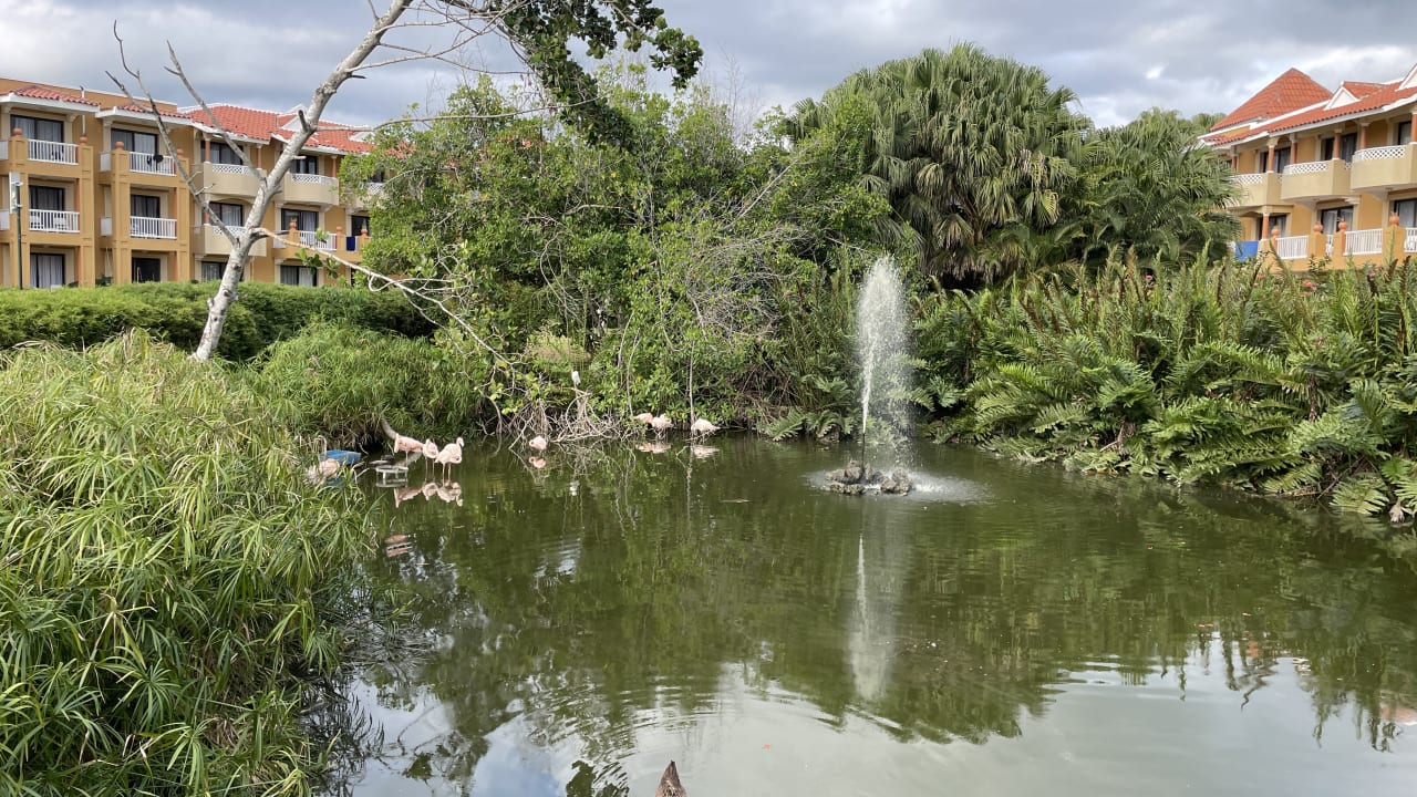 Gartenanlage Hotel Viva Dominicus Palace by Wyndham-All Inclusive Resort