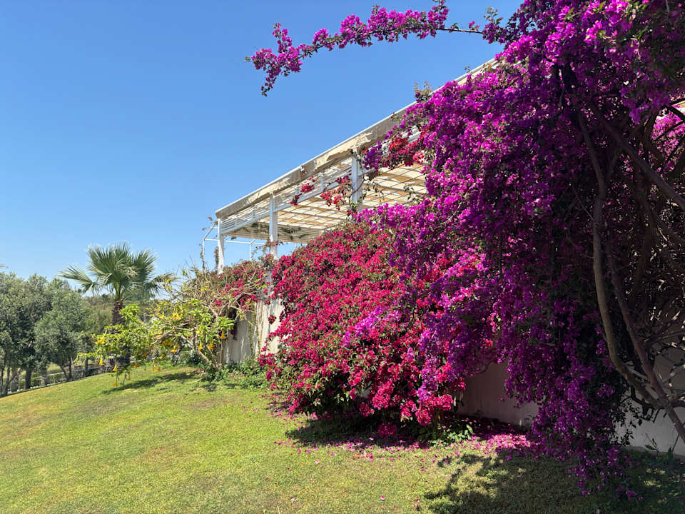 Gastro Can Garden Resort