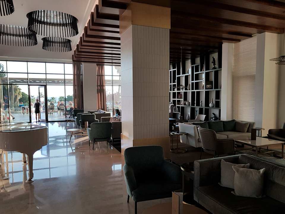 Lobby Acanthus Cennet Barut Collection
