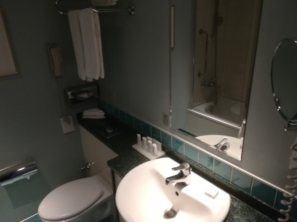 Zimmer Radisson Blu Hotel Ankara