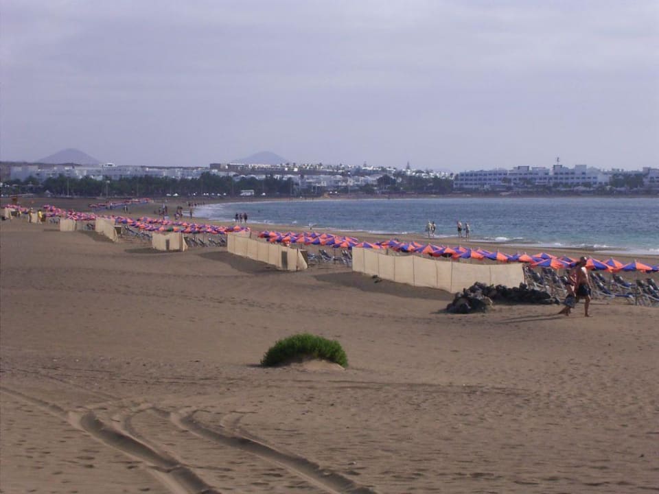 Der Strand in 200m. Entfernung zum RIU Relaxia Olivina