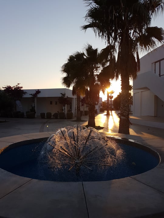 Sonstiges Atlantica Plimmiri