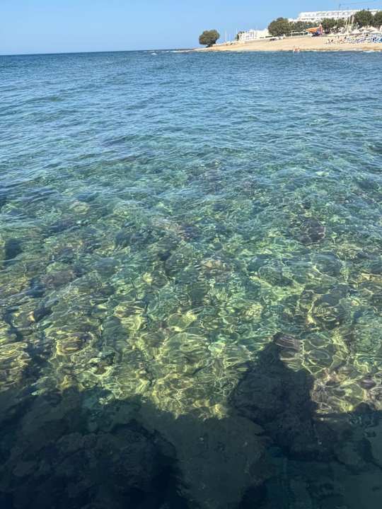 Strand Paralos Kosta Alímia
