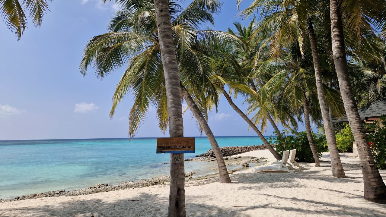Strand Summer Island Maldives