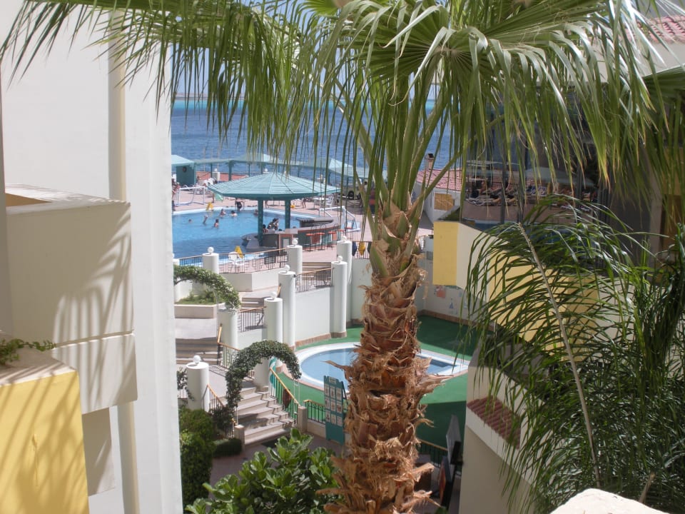 Blick zum Pool SUNRISE Holidays Resort (Adults Only)