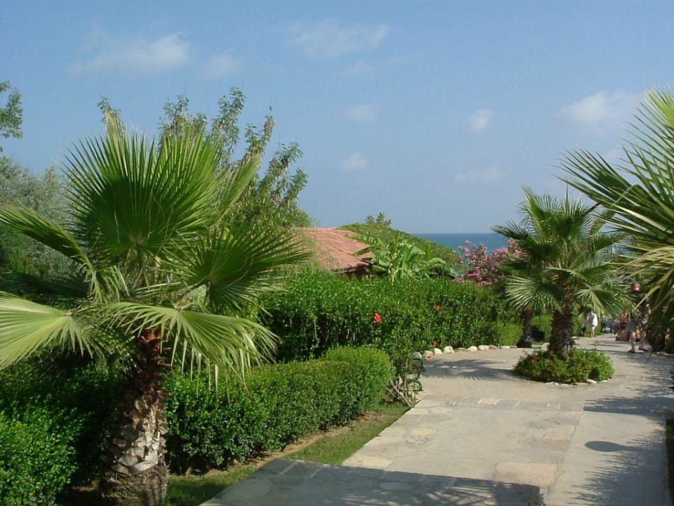 Weg zum Strand Alba Resort Hotel