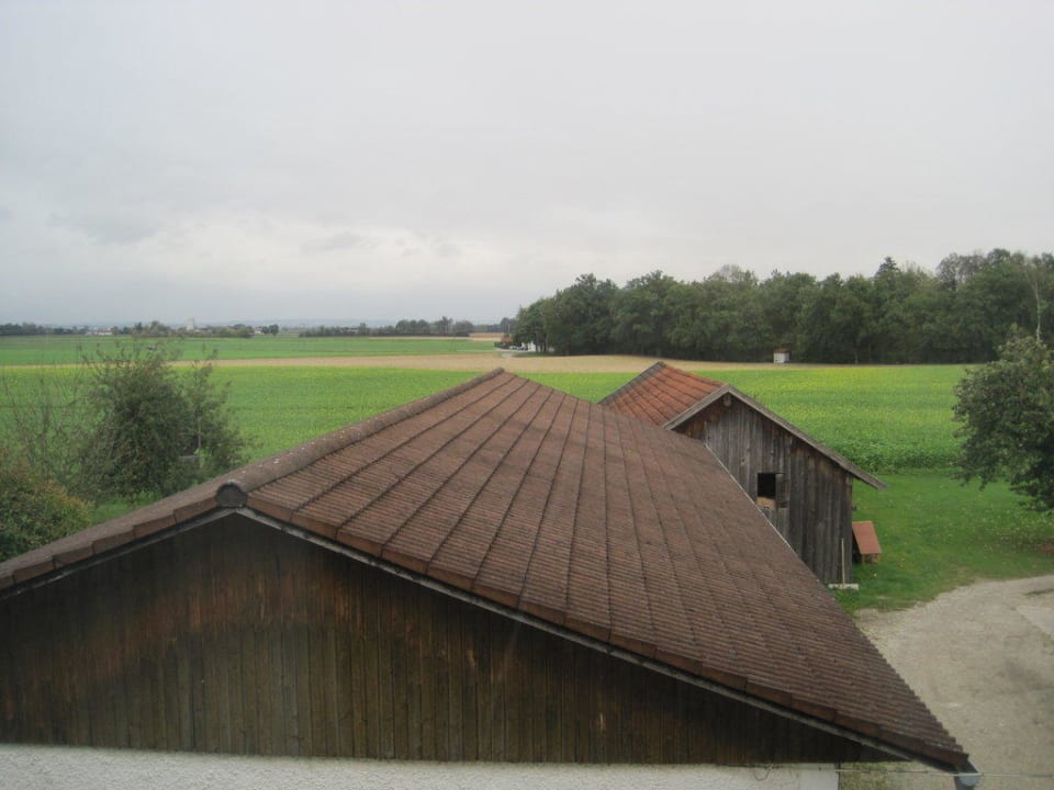 Blick aus dem Zimmer ins Grüne Hotel Pension Fent