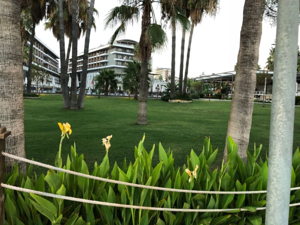 Außenansicht Acanthus Cennet Barut Collection