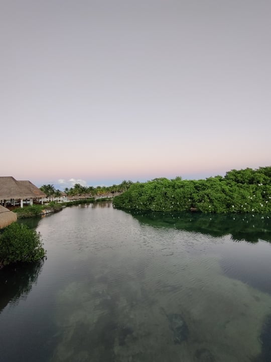 Gartenanlage TRS Yucatan Hotel - Adults only