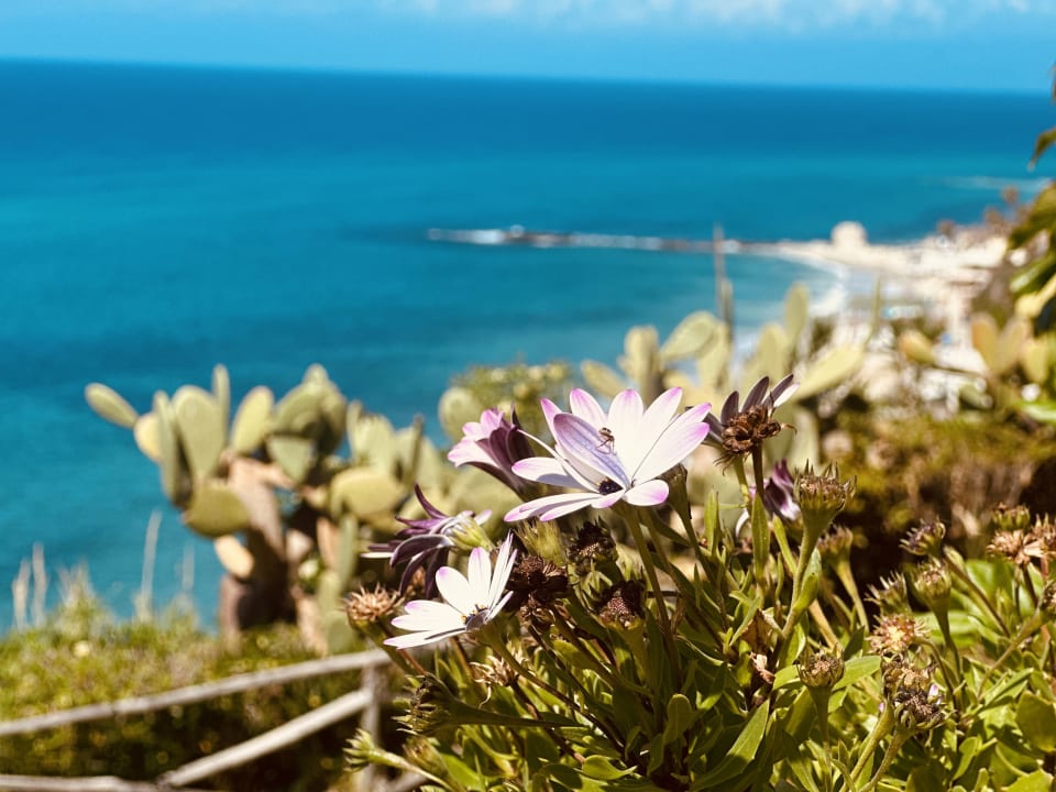 Gartenanlage Aldiana Club Rocca Nettuno Calabria