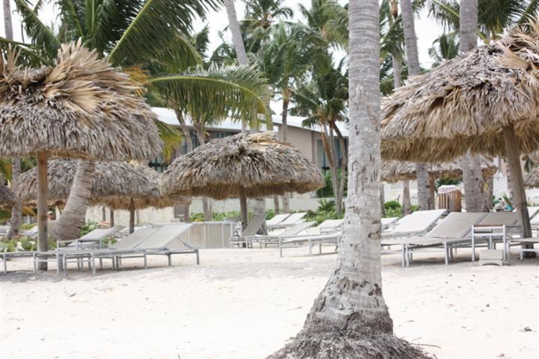 Früh morgens Catalonia Punta Cana - All Inclusive