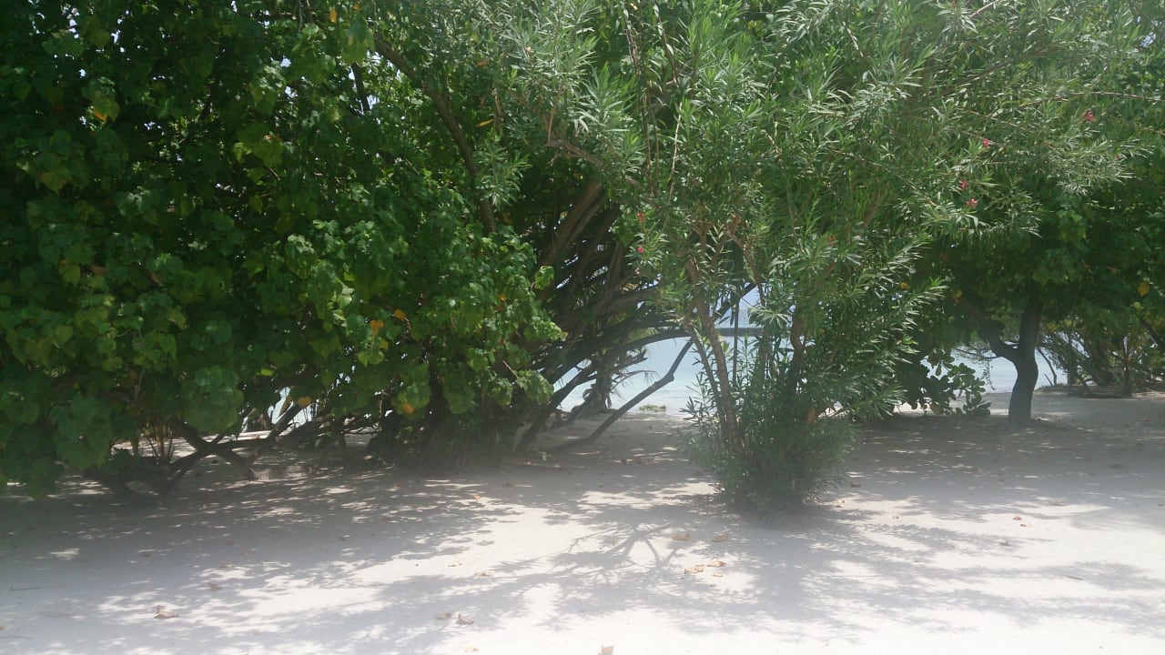 Strand Kuredu Island Resort & Spa