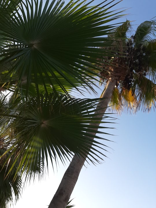 Strand Mira Meridia Beach Hotel