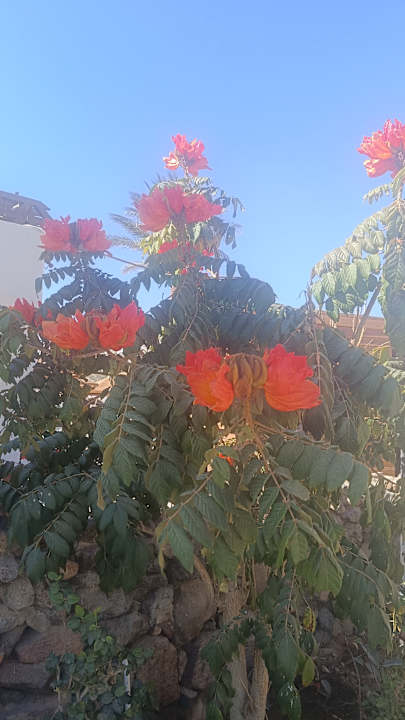 Sonstiges Shams Safaga Resort