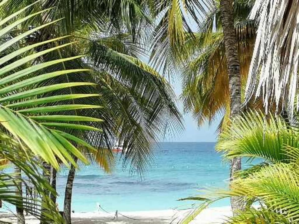 Strand Hotel Viva Dominicus Palace by Wyndham-All Inclusive Resort