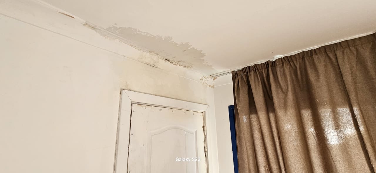 Zimmer Iberostar Origin Playa Alameda