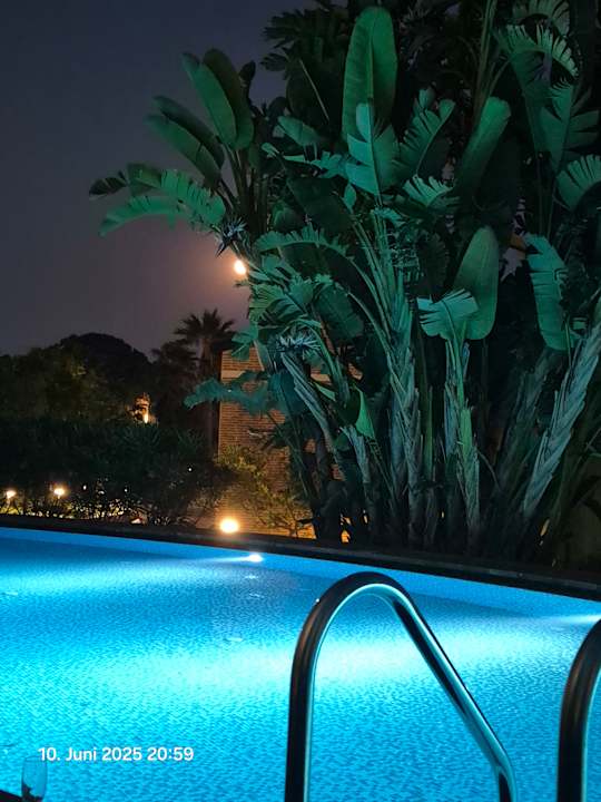 Pool Megasaray Club Belek