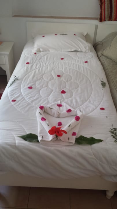 Zimmer  Royal Karthago Djerba