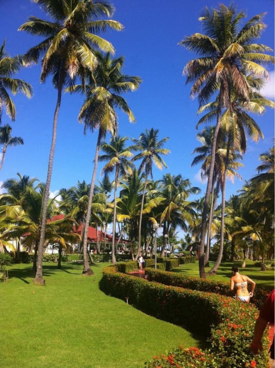 Hotel Grand Palladium Bavaro Resort & Spa Grand Palladium Select Bávaro Resort & Spa