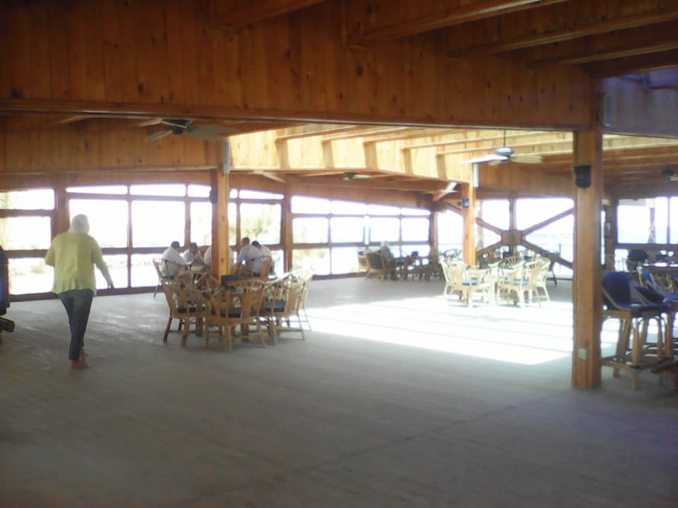 Sonstiges Desert Rose