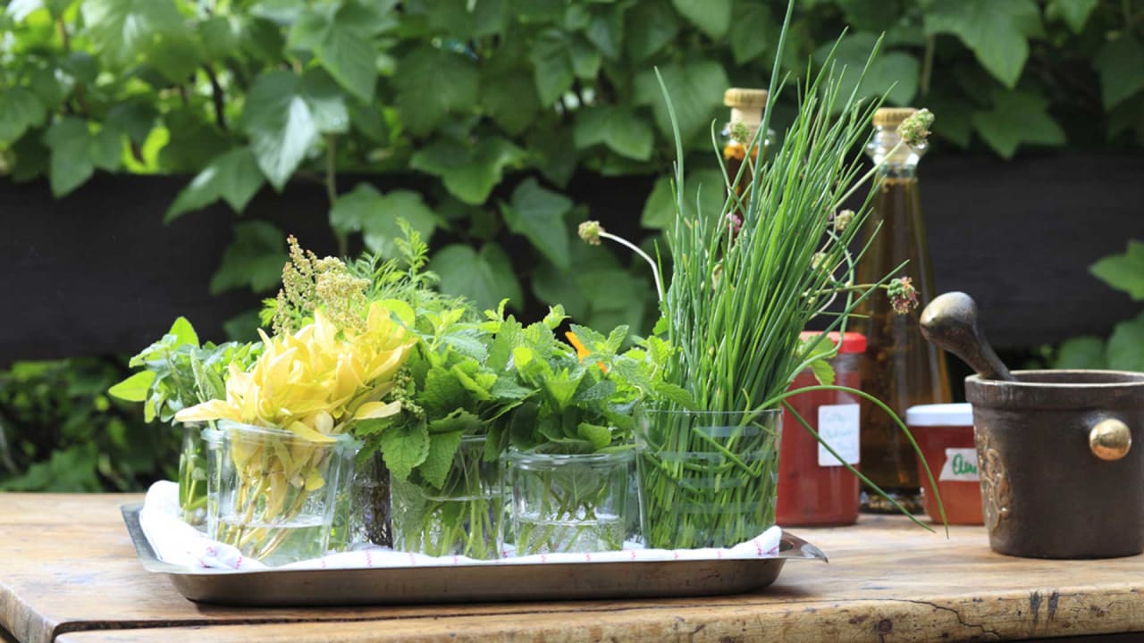 Gastro Landgasthof Seemer