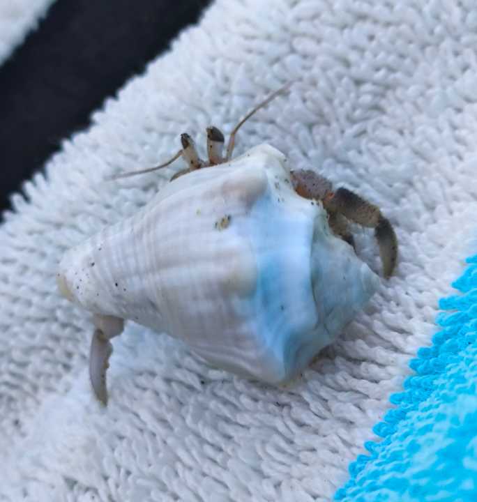 Strand Casa Mare Resort