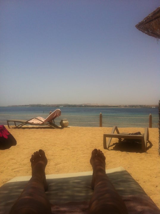 Blick von meiner Liege Makadi Spa - Adults only