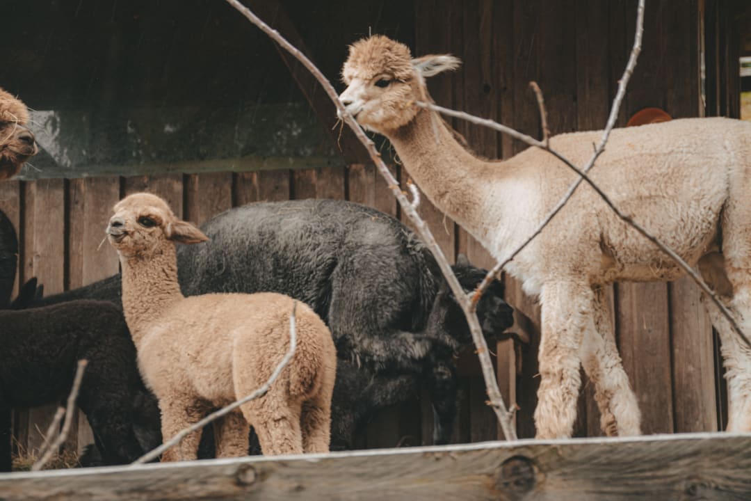 Sport & Freizeit Hüttendorf Schlögelberger