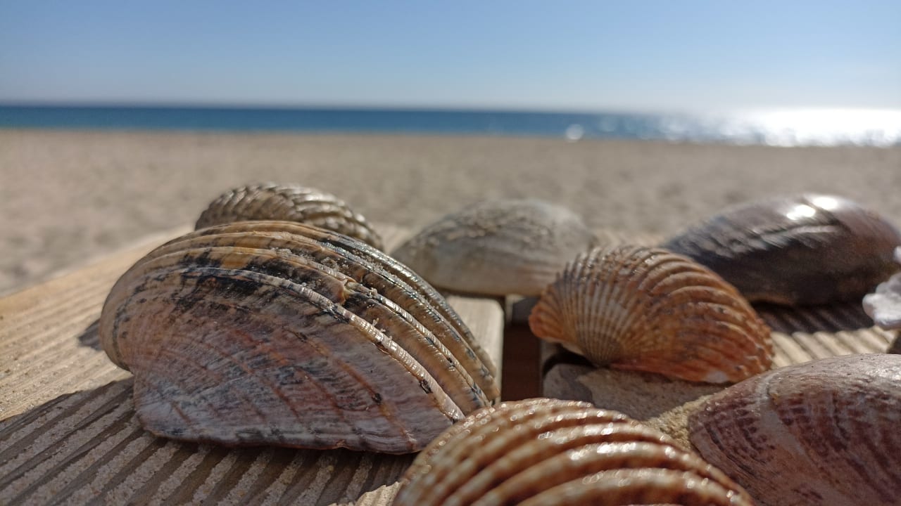 Strand Golden Club Cabanas