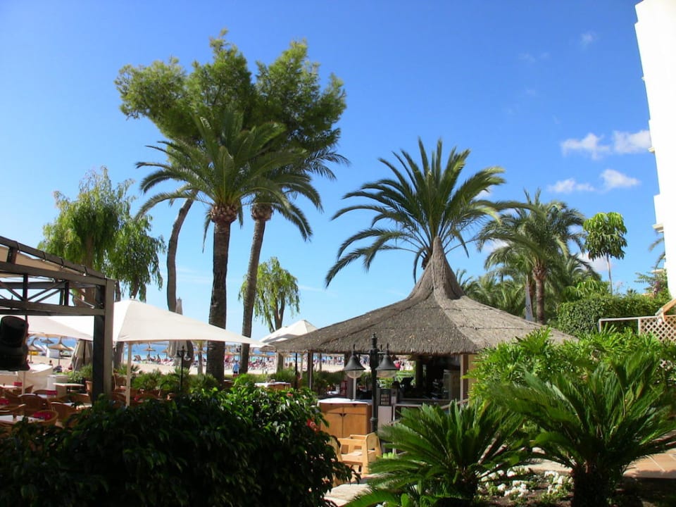 Strandbar  Vanity VIVA Golf - Adults only 18+