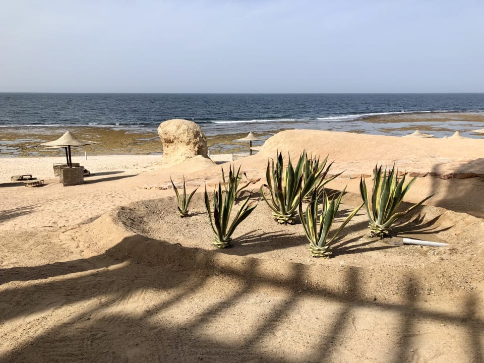 Strand Steigenberger Coraya Beach - Adults only