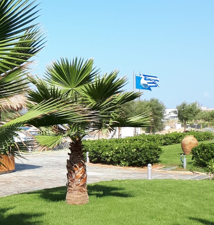 Gartenanlage Calimera Sirens Beach