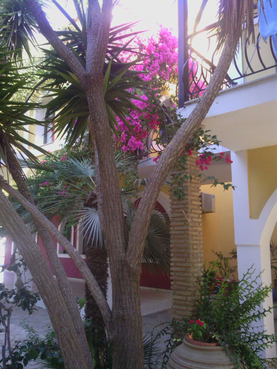 Blumenpracht Porto Koukla Beach