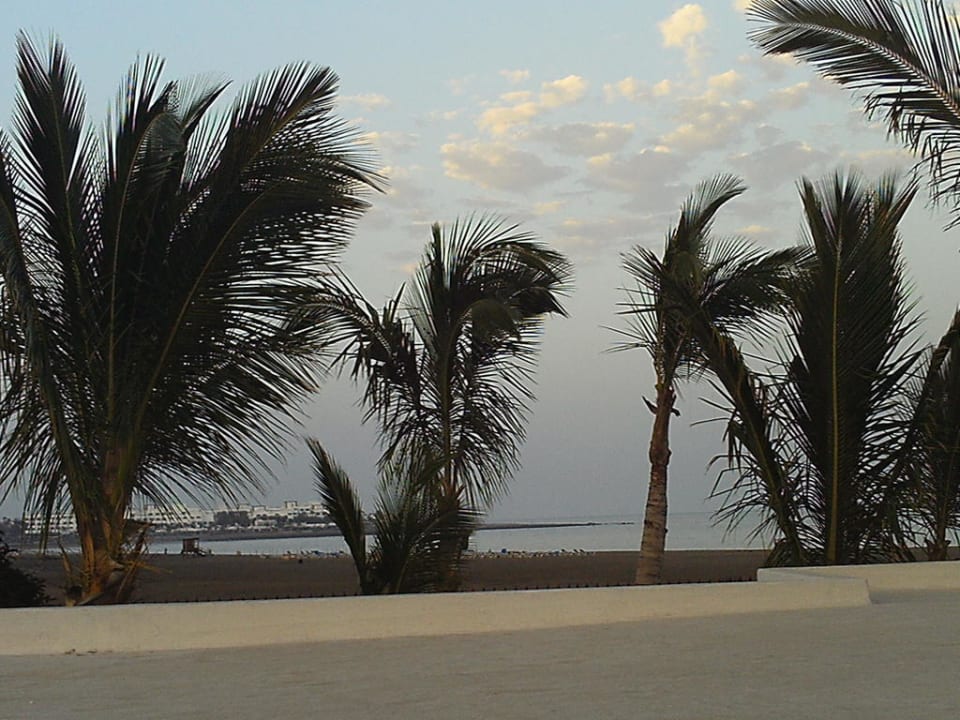 Blick zum Strand Hotel Las Costas