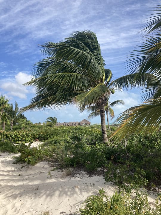 Gartenanlage Secrets Playa Mujeres Golf & Spa Resort - Adults only