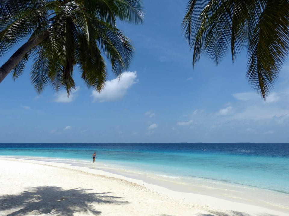 Traumstrand  Fihalhohi Maldives
