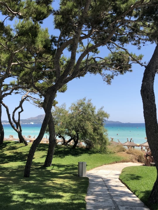 Strand Iberostar Waves Playa de Muro