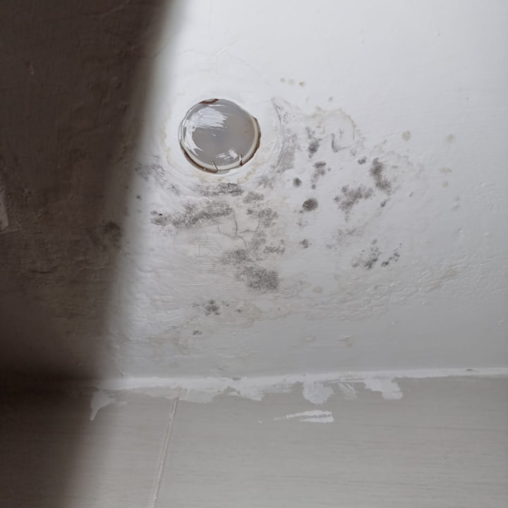 Zimmer Royal Star Beach Resort