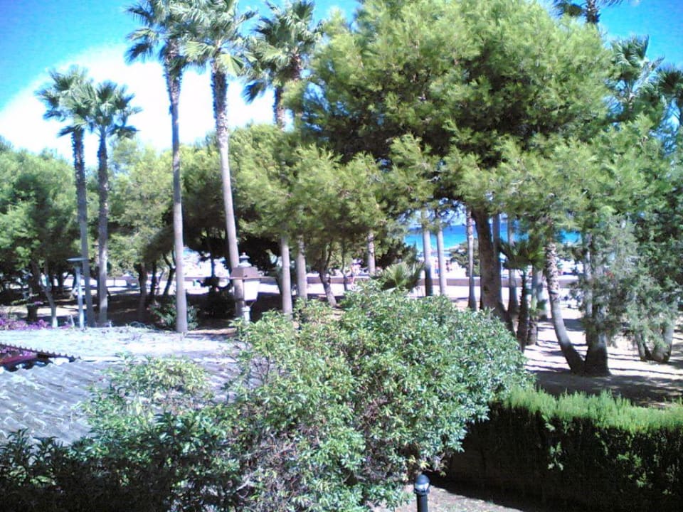 von der Terrasse zum Strand Hipotels Mediterraneo Club