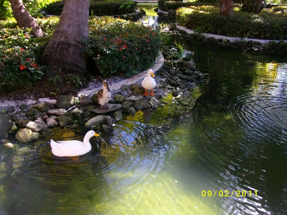 Eingang vom Hotel Grand Palladium Select Bávaro Resort & Spa